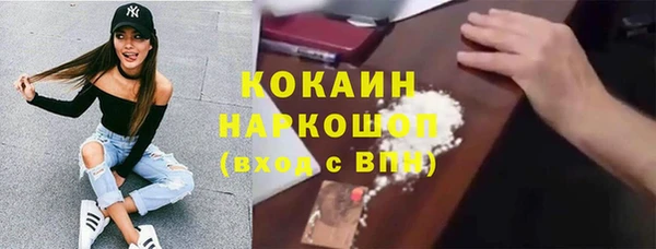 ешки Алексин